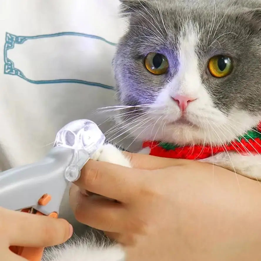 LED Pet Nail Clippers With Light For Safe Grooming