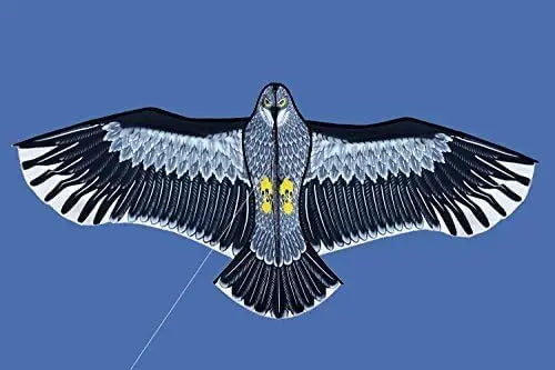 Outdoor Eagle Kite With Handle Line for Kids and Adults