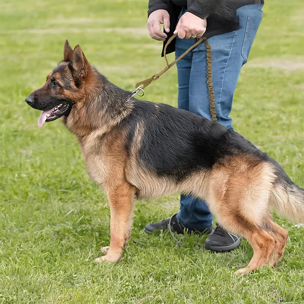 PETRAVEL Adjustable Military Dog Leash With Quick Release Dual Handles