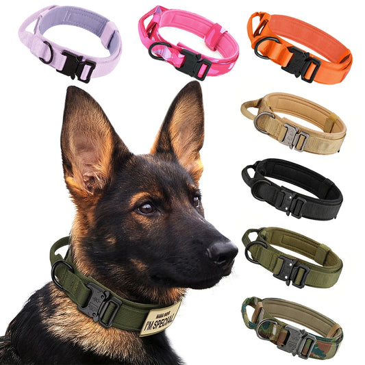 PETRAVEL Adjustable Tactical Dog Training Collar and Leash Set