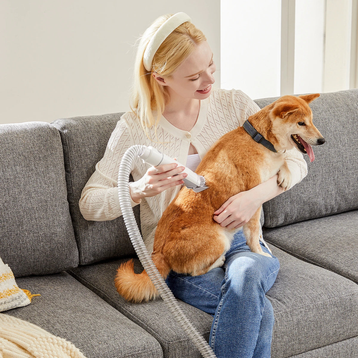 Professional Pet Grooming Vacuum Kit With Low Noise Clippers For Cats