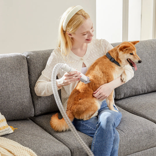 Professional Pet Grooming Vacuum Kit With Low Noise Clippers For Cats
