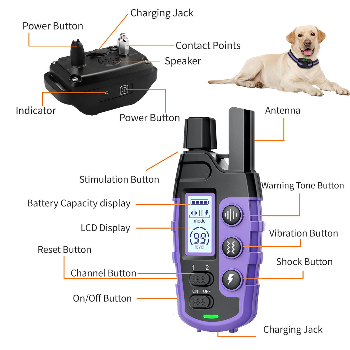 WXRPET Waterproof Remote Dog Training Collar With Vibration And Beep
