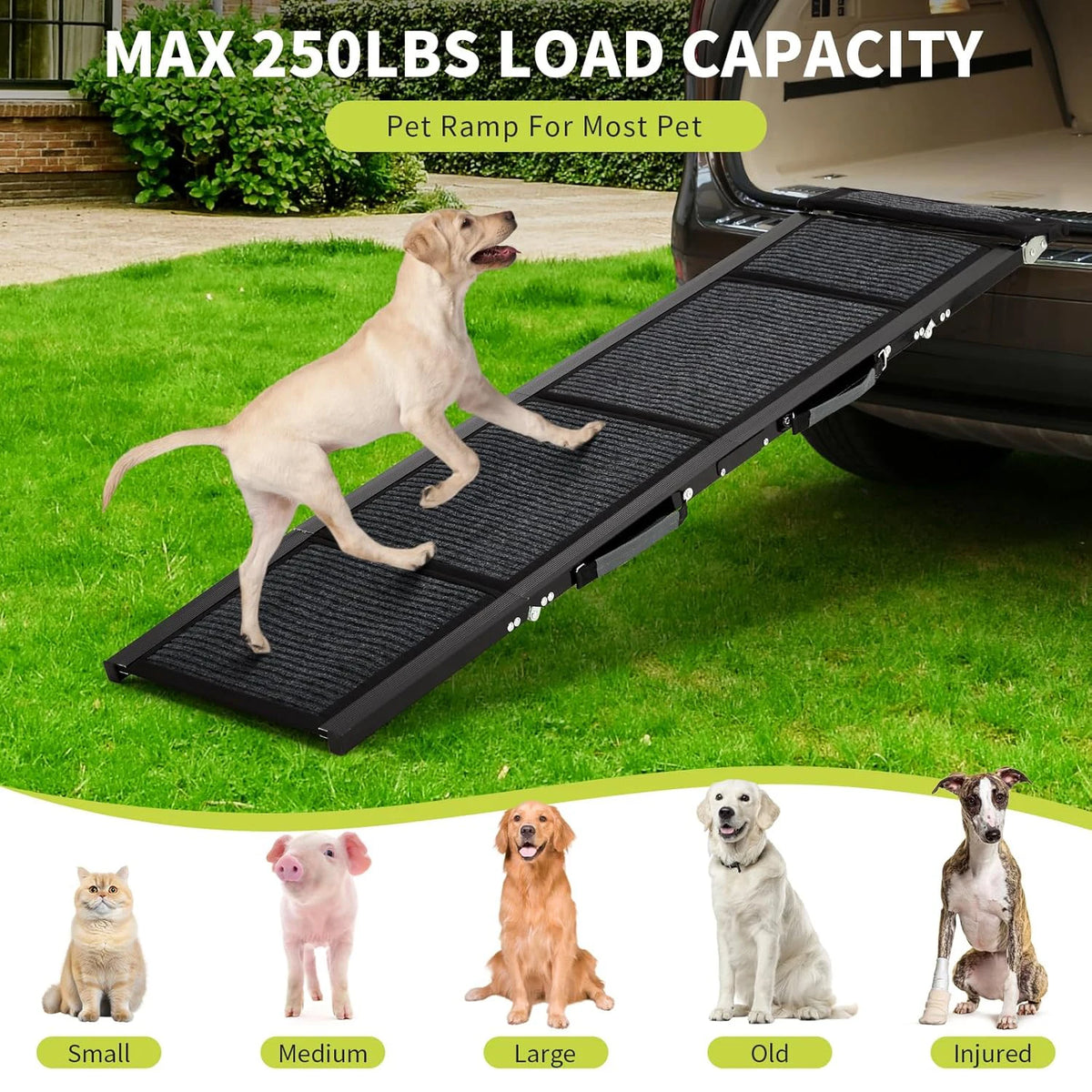 HiMISS Folding Portable Non Slip Car Ramp for Pets