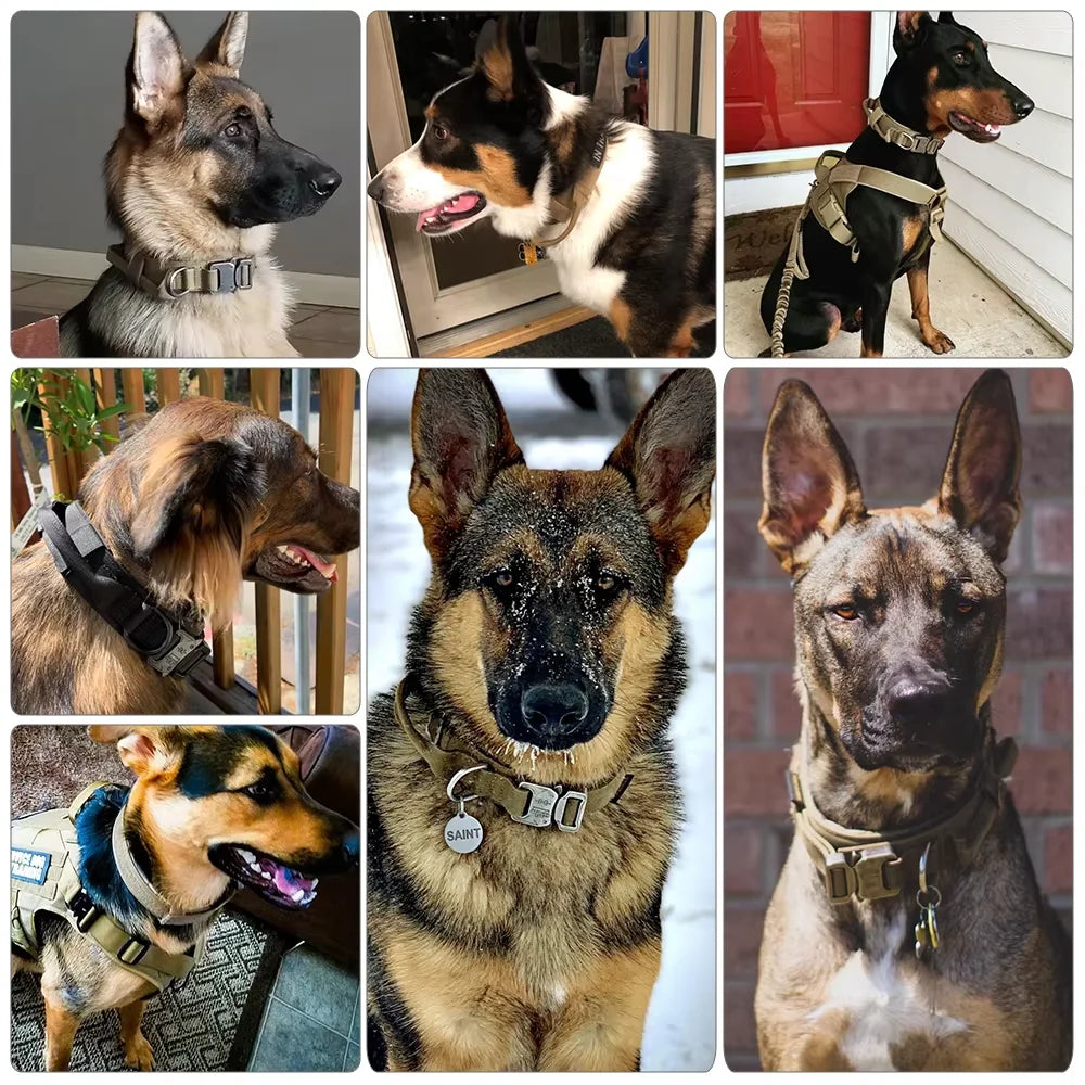 PETRAVEL Adjustable Tactical Dog Training Collar and Leash Set