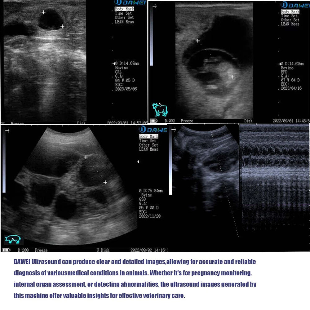DAWEI Portable Veterinary Ultrasound Scanner for Farm Animal Pregnancy Testing
