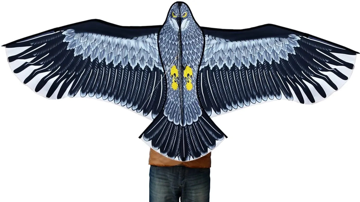 Outdoor Eagle Kite With Handle Line for Kids and Adults