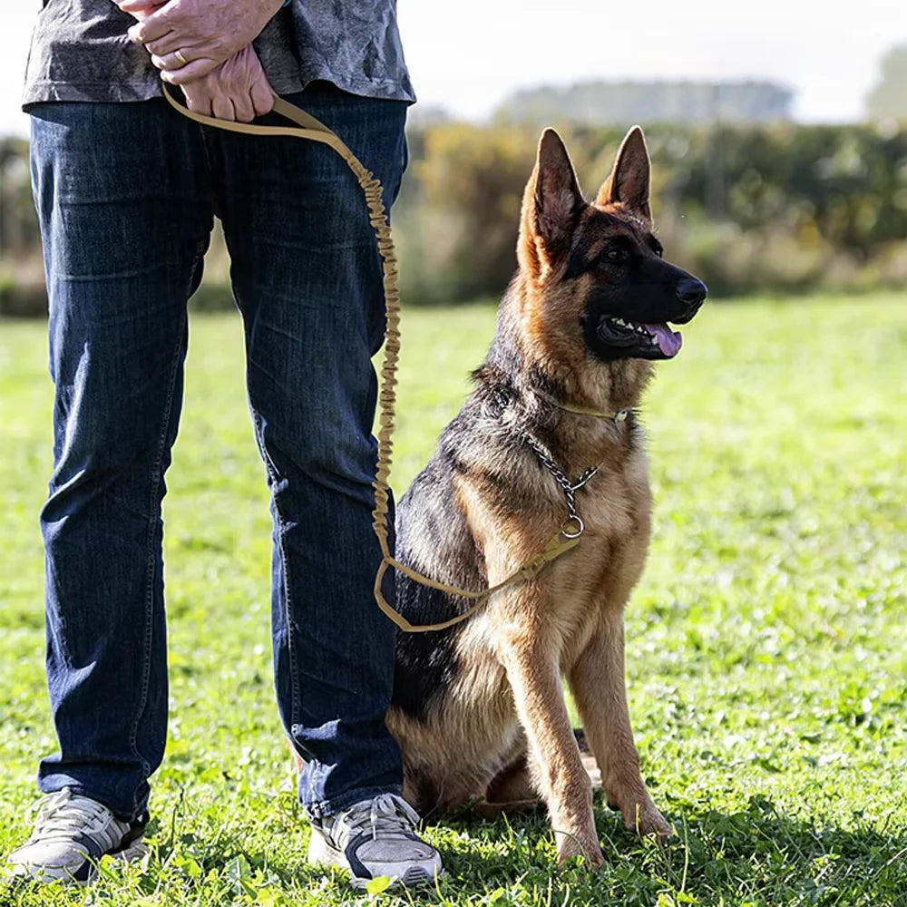 PETRAVEL Adjustable Military Dog Leash With Quick Release Dual Handles
